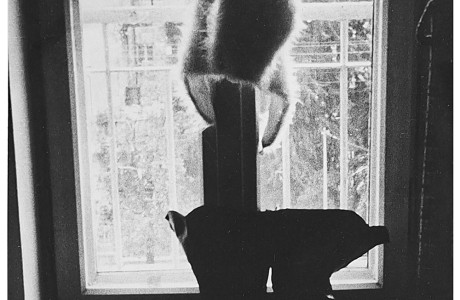 Sarah Shulevitz Yarom